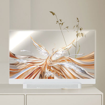 OEM ODM Transparenter OLED-Bildschirm, 55 Transparenter OLED-Display
