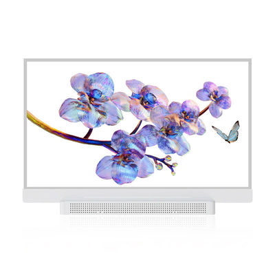 OEM ODM Transparenter OLED-Bildschirm, 55 Transparenter OLED-Display