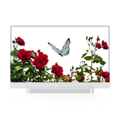 OEM ODM Transparenter OLED-Bildschirm, 55 Transparenter OLED-Display
