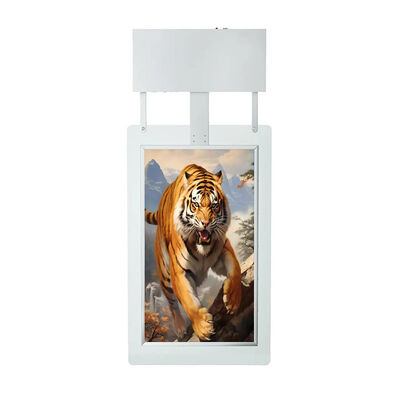 55 Zoll hohe Helligkeit Digital Signage Display mit Android-Betriebssystem für Werbung